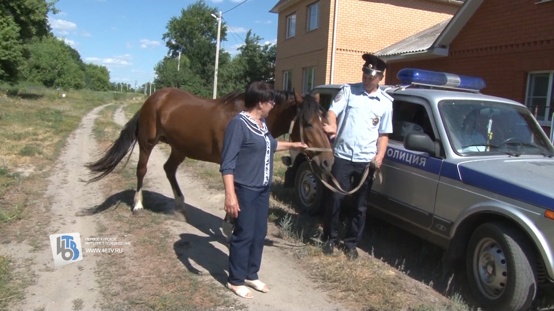 Курская область пропавшая лошадь 01.07.2019 год